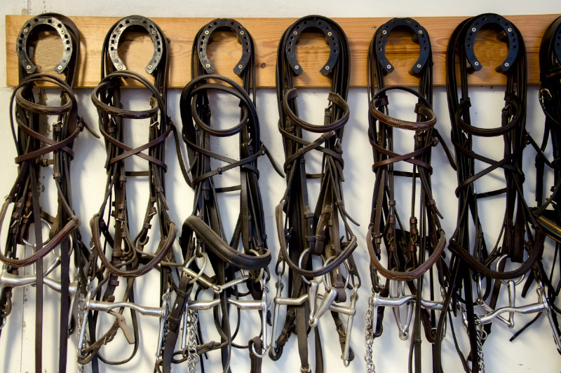 Die richtige Pflege ist für Pferdezubehör wichtig